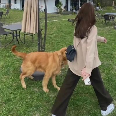 千年鹤